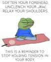 153 KB