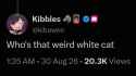 45 KB