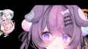 333 KB