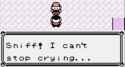 428 KB