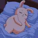 1.46 MB