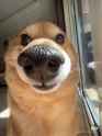 89 KB