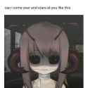 230 KB