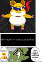 524 KB