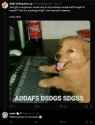 73 KB