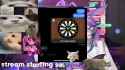 2.46 MB