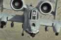 1.74 MB