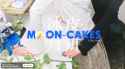 1.8 MB