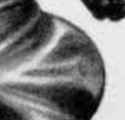 17 KB