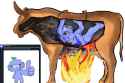 1.19 MB