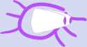 30 KB