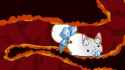 177 KB