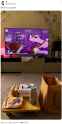 Rule 34 Rule 34 Image