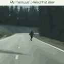 2.86 MB