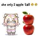 734 KB