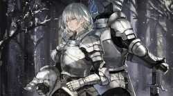 warrior_fantasy_girl_anime_girls_knight_armor_white_hair_white_eye_braids-45713