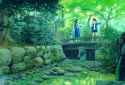 Konachan.com - 300447 2girls black_hair blue_eyes dress forest green long_hair original sawitou_mizuki scenic shorts tree water