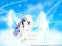 Konachan.com - 1244 blue_eyes blue_hair kanon minase_nayuki wings yukirin