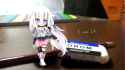 chibi-I&#039;amIA(Nokko)_1920