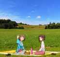 picnic