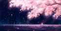 wp1848046-your-lie-in-april-wallpapers