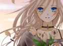 Flowers_2048