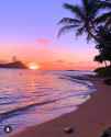 hawaiian_sunset