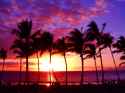 Hawaiian Sunset Background Awesome hawaii sunset