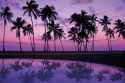 Purple-Ocean-Sunset-Backgrounds-1