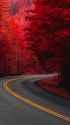 road-pine-trees-red-mobile