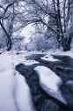 Snow Covered Creek