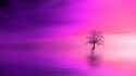 tree_pink_horizon_lonely_4k_hd