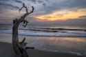 Cloudy sunrise at Driftwood Beach