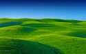121623-landscape-greenery-scenery-blue-sky-stock-hd