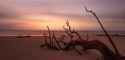 Long exposure sunrise at Driftwood Beach