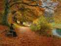 Hans Andersen Brendekilde - Wooded Path in Autumn (1902)