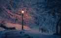 winter-snow-path-lampost