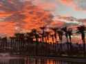 Sunset in Palm Desert