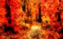 jean-michel-baugh-autumn-forest-path-130206-4800