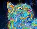 PsychedelicCat