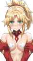 __mordred_and_mordred_fate_and_2_more_drawn_by_tonee__d5a0f8ceb23ce183176353ccfed801e3