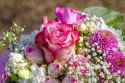 rose_bouquets_by_blumenx_dgr4xqv