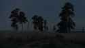 night forest-steppe