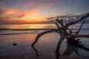 Driftwood Anchor, Jekyll Island