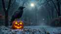 Halloween Crow