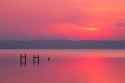 neusiedl_am_see_at_sunset_-_burgenland__austria