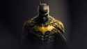 Batman Golden Suit