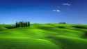 Nature___Fields_Green_wavy_field_under_blue_sky_167187_