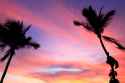 palm_trees_at_sunset