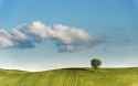 tree-clouds-hill-green-wallpaper